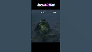 The Stun Effect is Amazing || Assassin