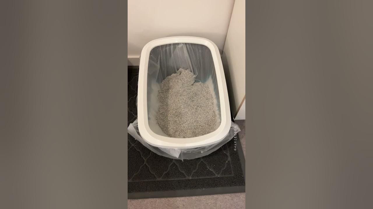 Cleaning Cat Litter Box Life Hack 💡 Easypeasy! YouTube