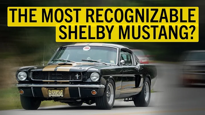 History of the Shelby GT350H Rent-A-Racer