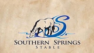 Lot # 14 SSS Dun Texas Right Powder River Quarter Horse Breeders Assoc. (PRQHBA) Sale