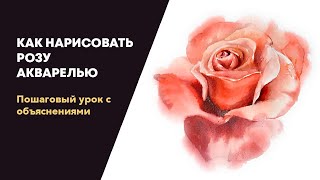 Как нарисовать розу акварелью // How to draw a rose with watercolors