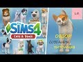 The Sims 4/Кошки и Собаки/ОБЗОР СОЗДАНИЯ ПИТОМЦЕВ