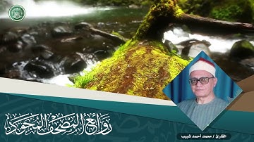 القارئ | محمد أحمد شبيب