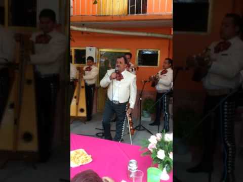 Somos Novios Video