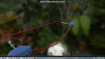 UE4 Dynamic Rope Component Demo