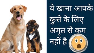 food जो आपके dog के लिए अमृत से कम नहीं है / food that increase your dog life