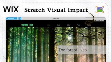 Hoe voeg je afbeeldingen met volledige breedte toe in Wix (breedbeeld)