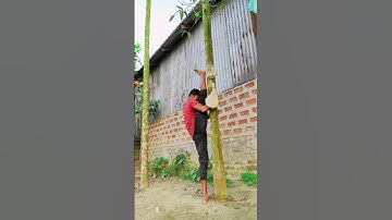 ‼️Mobility drills for handstand‼️ #handstandworkout #calisthenics #tutorial #learning