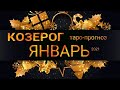 КОЗЕРОГ - ЯНВАРЬ 2021. 🍀Важные события. Таро прогноз на Ленорман. Тароскоп.