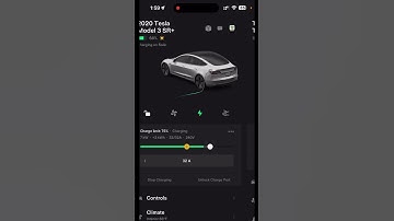 My first time seeing Tesla