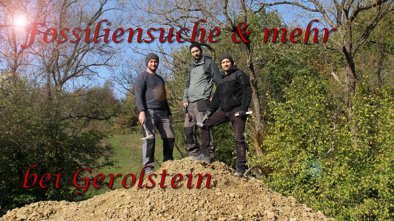 Fossiliensuche bei Gerolstein