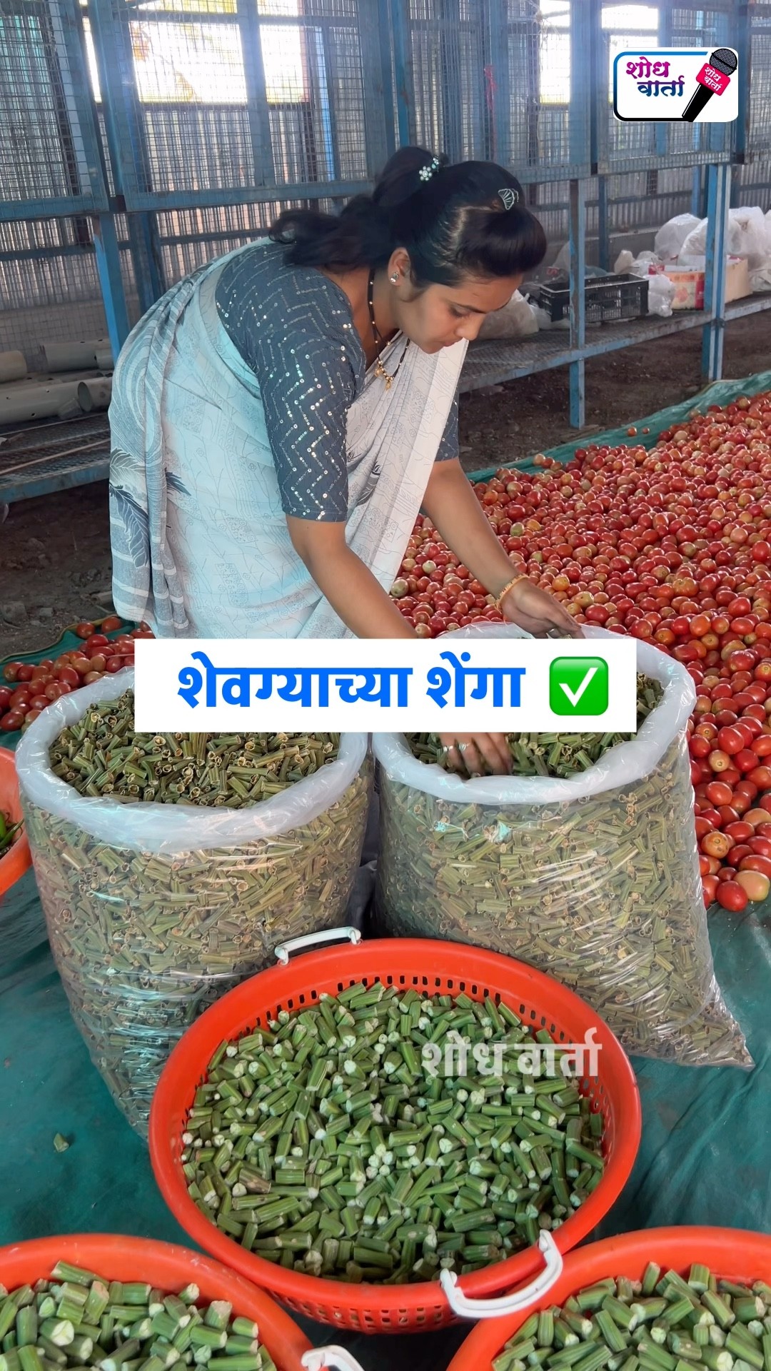 🎓जनरल नॉलेज - ShareChat
