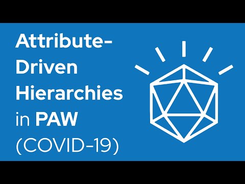 Attribute-Driven Hierarchies in Planning Analytics Workspace (COVID-19)