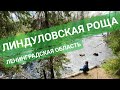 ЛИНДУЛОВСКАЯ РОЩА - самое красивое место Ленинградской области!