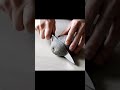 Pisonya tajem bwang #ai #bananlogik #reels #youtubeshorts #tutorial #shorts