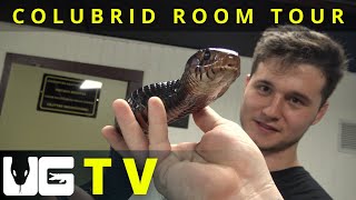 Snake Room Tour