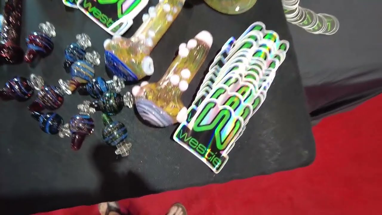 Westie Glass at Summer Champs in Las Vegas 7/2024 