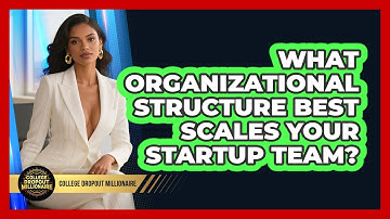 What Organizational Structure Best Scales Your Startup Team? - College Dropout Millionaire