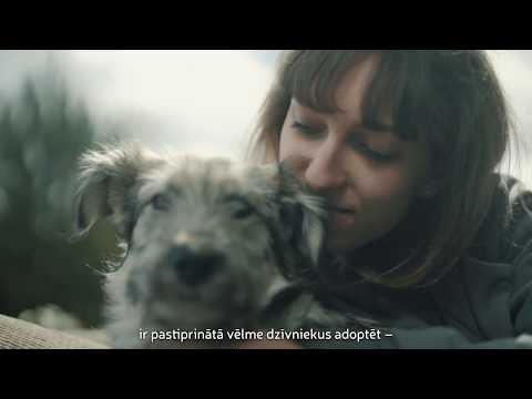Video: Slavenākie Suņu ģimenes Pārstāvji