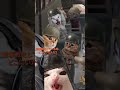 もしアリブレに乗り物があったら... #shorts