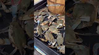 Why Do Crabs Can Detach Their Own Limbs? π¦