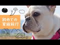 【家族旅行】フレンチブルドッグとの1泊2日の旅。ペット＋子連れ旅はこんな感じ…そろそろ遠出したーい！