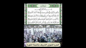 سورة التين قراءة الشيخ عبدالمحسن القاسم