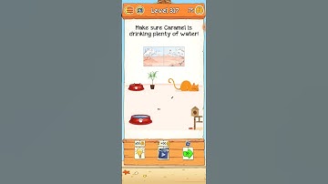 Braindom 2 Level 317 By Rick Gaming