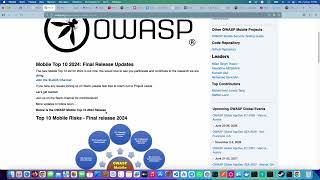 Celebrity Flutter Security Series: OWASP Mobile Top Risks Net Worth