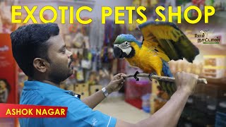 சுதந்திர பறவைகளின் இருப்பிடம் | Trained Birds | Exotic Birds| Pets Accessories | Oor Naattan