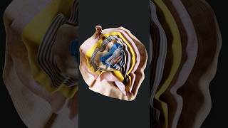 Abstract Flower Cloth Sim