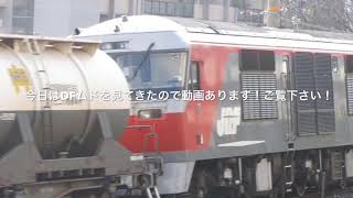 2019/1/8 5085レ EF210-140+ムドDF200-105+コキ サントリーカーブ通過
