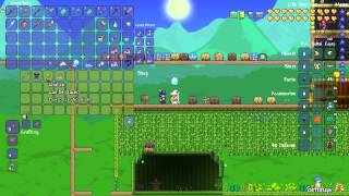 Terraria NPC Guide: Traveller Merchant
Traveller Merchant
HP 250
Defense 15
Drops Peddlers Hat
Spawns randomly for one day
He will not move into a house
Randomly sells
Ammo Box 15 Gold Coin
Angel Halo 40 Gold Coin
Arcane Rune Wall 2 Silver Coin 50 Copper Coin
Blue Dynasty Shingles 50 Copper Coin
Brick Layer 10 Gold Coin
Celestial Magnet 15 Gold Coin
Chalice 50 Silver Coin
Crimson Cloak 5 Gold Coin Crimson Biome
Diamond Ring 2 Platinum Coin
Dynasty Wood 50 Copper Coin
Extendo Grip 10 Gold Coin
Fancy Dishes 20 Silver Coin
Fez 3 Gold Coin 50 Silver Coin
Gatligator 25 Gold Coin in Hardmode
Gi 2 Gold Coin
Gypsy Robe 5 Gold Coin
Katana 2 Gold Coin 50 Silver Coin
Kimono 1 Gold Coin
Magic Hat 3 Gold Coin
Mysterious Cape 5 Gold Coin
Pad Thai 20 Silver Coin
Paint Sprayer 10 Gold Coin
Pho 30 Silver Coin
Portable Cement Mixer 10 Gold Coin
Pulse bow 45 Gold Coin after defeating Plantera
Red Cape 5 Gold Coin
Red Dynasty Shingles 50 Copper Coin
Revolver 10 Gold Coin
Sake 5 Silver Coin
Ultrabright Torch 3 Silver Coin
Water Gun 1 Gold Coin 50 Silver Coin
Winter Cape 5 Gold Coin Snow Biome
Sitting Ducks Fishing Pole 45 Gold Coin
Leopard Skin 1 Gold Coin
Tiger Skin 1 Gold Coin
Zebra Skin 1 Gold Coin Terraria NPC Guide: Traveller Merchant