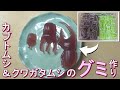 ビートルアイストレー【カブトムシ&クワガタムシ】でグミを作ったよ！