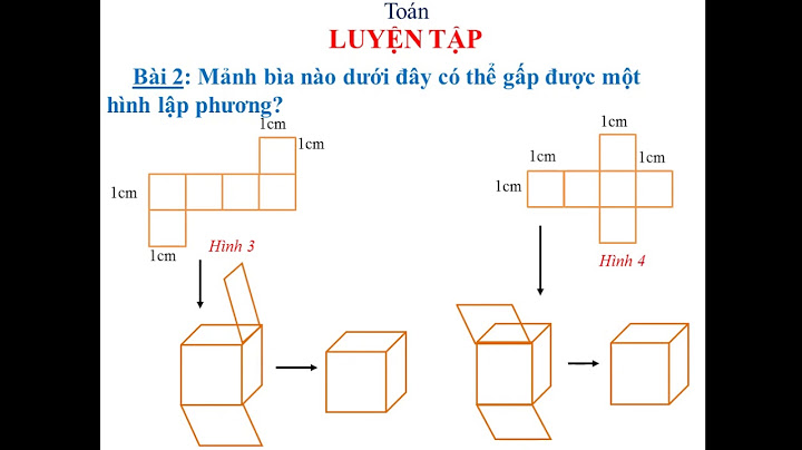 Giải toán lớp 5 bài luyện tập trang 112 năm 2024