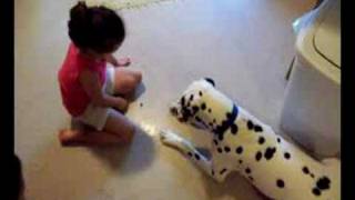 dalmations and kids