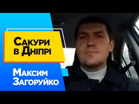 Сакури в Дніпрі