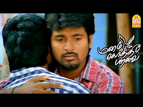 Transvestitlar porno fotosuratlar bilan qoplangan