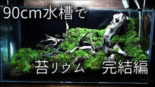 90cm水槽で苔リウム 完結 - YouTube