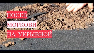 Не полоть и не прореживать! Новый способ! Посев моркови на укрывной.