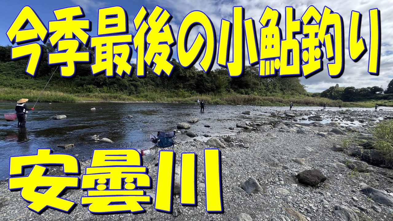 今シーズン最後、安曇川の小鮎釣りに行って来ました 前編