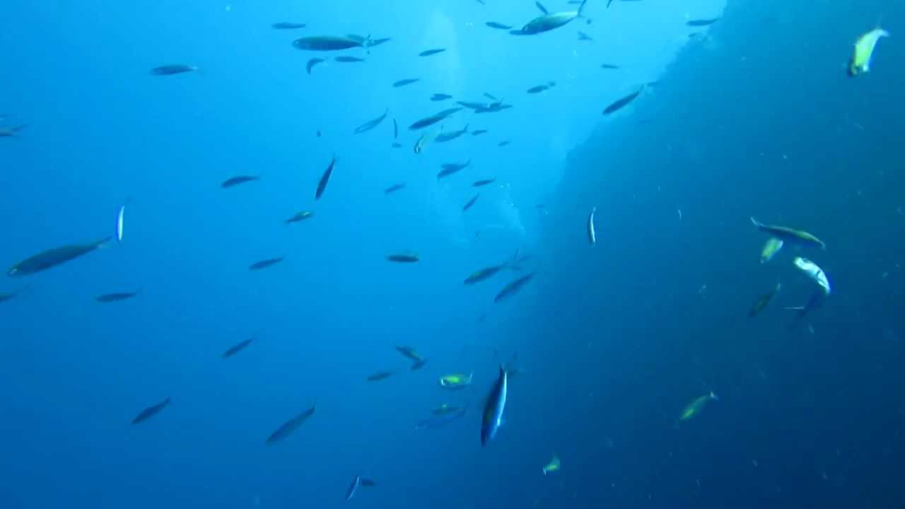East Bali - The Wall