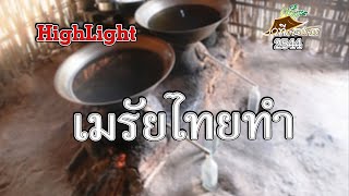 HIGHLIGHT เมรัยไทยทำ