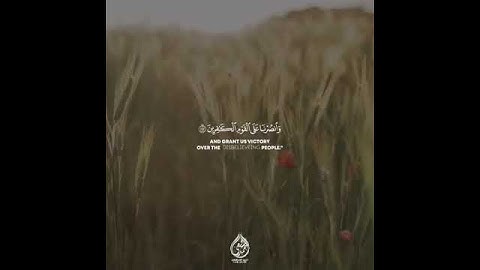 حالات واتس |القارئ أحمد الشافعي