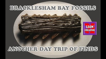 BRACKLESHAM BAY FOSSILS - Another day of finds!!! - with Leon Hills - LEON CREATOR