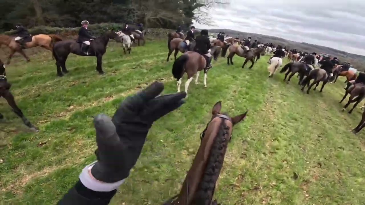 Readyfield Bloodhounds Ladies Day 2025!