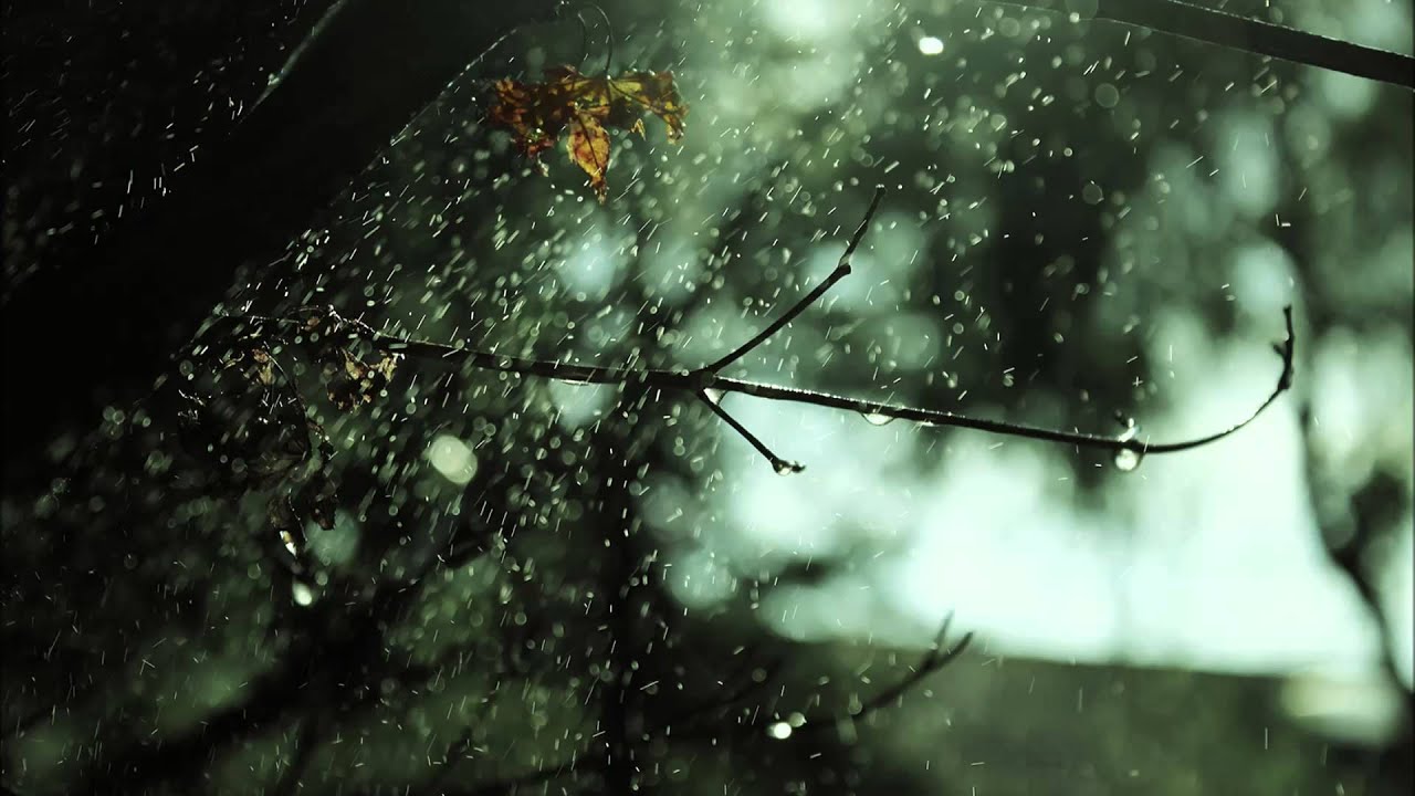 Watch En Voice - Autumn on YouTube Watch En Voice - Autumn on YouTube