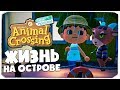 ЖИЗНЬ НА ОСТРОВЕ - ANIMAL CROSSING NEW HORIZONS