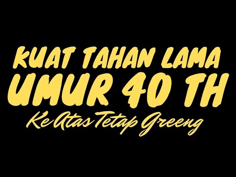 WAJIB TAHU!!! Resep Obat Kuat Untuk Pria Yang Sudah ...