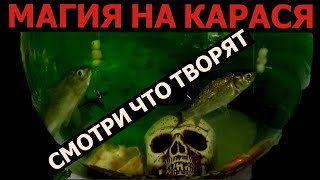 МЫ ИЗ ПРОШЛОГО!!! ЛУЧШАЯ РЫБОЛОВНАЯ НАСАДКА,НАЖИВКА,ПРИМАНКА
